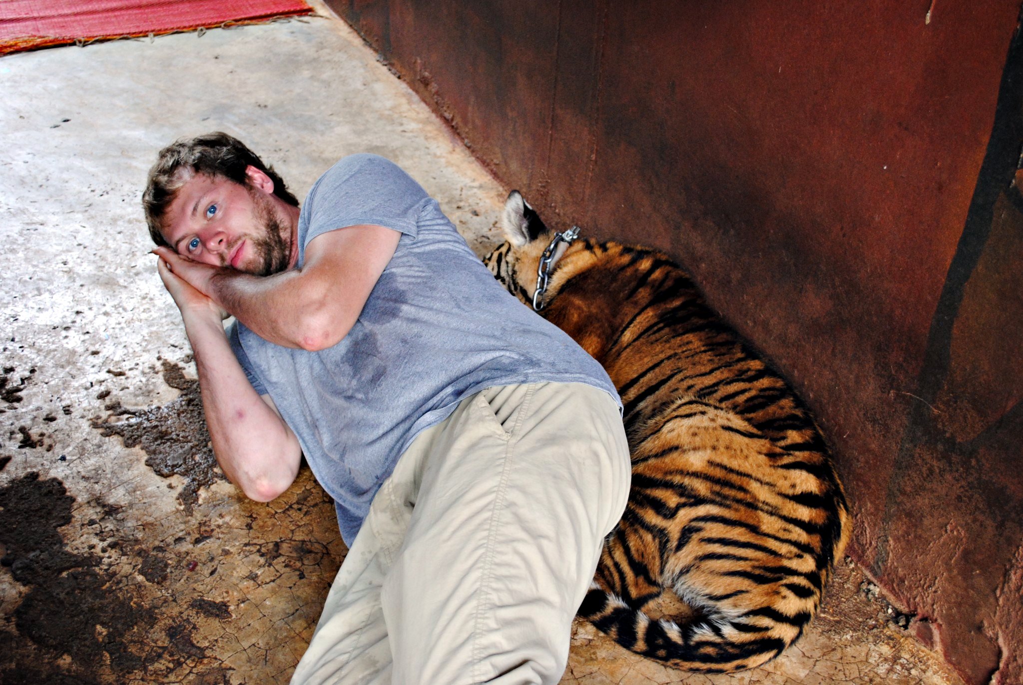 Let me introduce you to my friend Blake. We met up with him in Asia while we were on fall break. One day we went to a tiger temple in Thailand and played with the cutest (but surprisingly biggish) tiger cubs. We played with them for a few minutes then we fed them some milk. Most of them passed out on the cool concrete floor. Blake casually snuggled up to this meat-eating feline, asks me to snap a photo then says, "I just want to be the little spoon". One of the funniest moments of the trip.